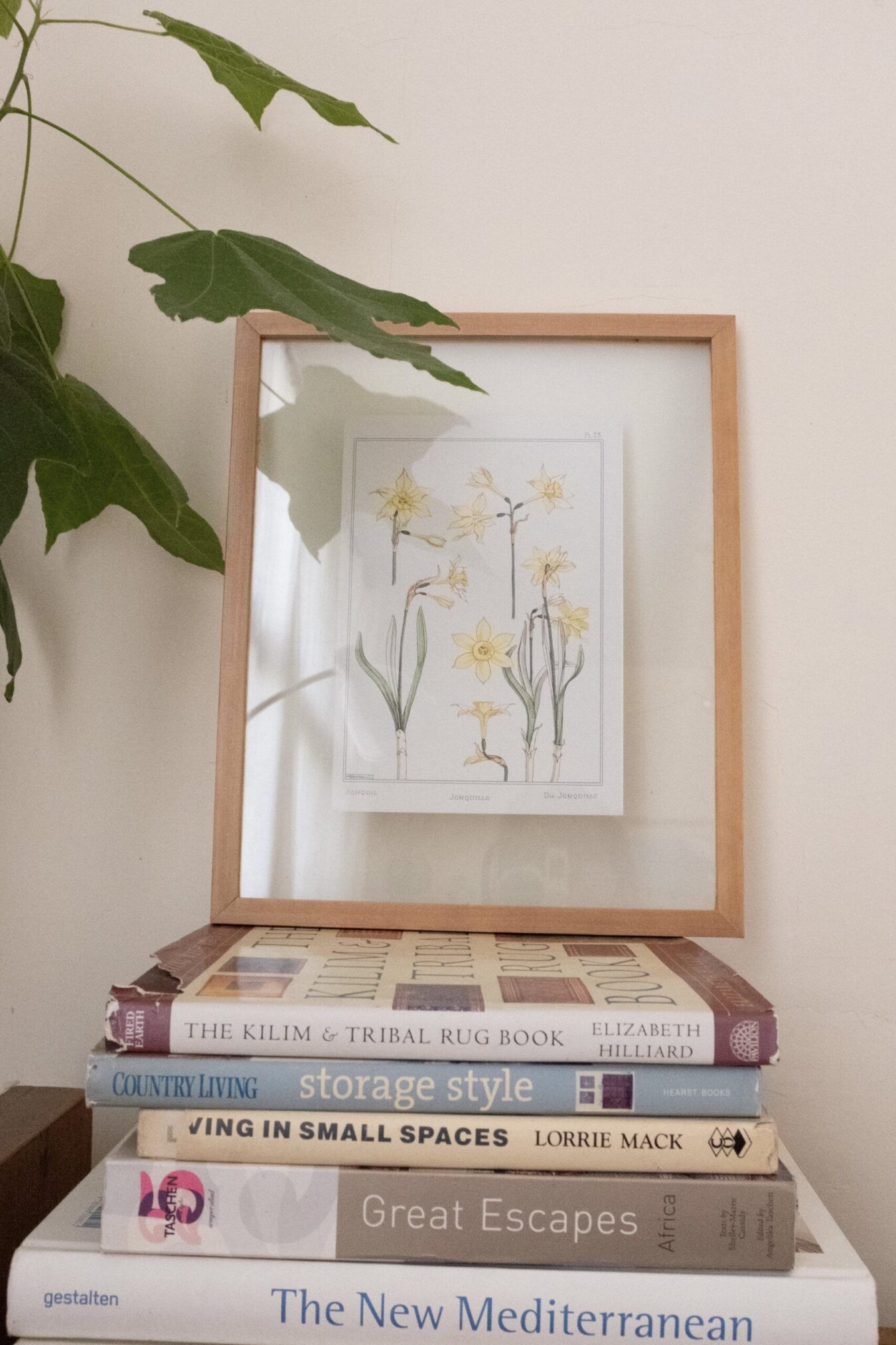Framed floral print - no.7