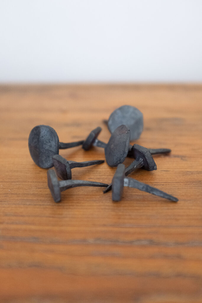 Rusty Carpenter’s Nails